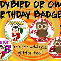 PERSONALISED Ladybird BIRTHDAY BADGE Personalised Owl Birthday Badge Add Real Glitter too!