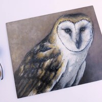 Original Barn Owl Acrylic Painting on Hardboard (8x10 inches)