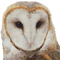 Barn Owl Cross Stitch Kit: 14 Count Aida, Anchor Threads