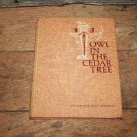 Vintage 1965 Book "The Owl in the Cedar Tree" Momaday