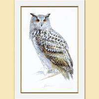 Eurasian Eagle Owl Painting: Original Watercolor Bird Art