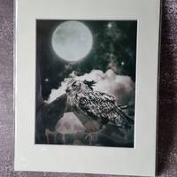 The Owl in the Moonlight photograph, Owl Art Work, Owl Photography, Black and White Photo, Owl, Owl 