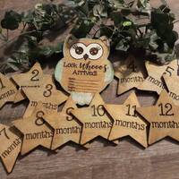 Owl Baby MIlestones DIGITAL FILE ONLY