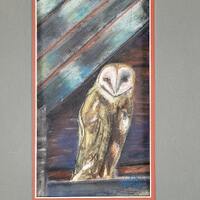Original Pastel Painting of a Barn Owl Signed by the Artist - Matted to 16x20 Ready to Frame - Wildl