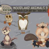 Woodland Animals Clip Art Set Beaver, Owls, Otter and Cardinal