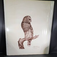 Leland Brewsaugh Barn Owl Print Numbered 2/250 First Print 1974