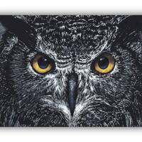 Great horned Owl - PRINT White Ink Drawing Painting on black watercolor paper, nature art, home deco