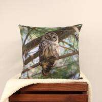Barred Owl Photograph Pillow, Wildlife Accent Pillow, Nature Photography, Bird Throw Pillow, Owl Pho