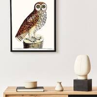 Great Brown Owl drawing, Antique Owl art print, Vintage bird art, woodland owl, vintage camp and cab