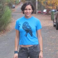 Spotted Owl, on Light Blue Fitted Tshirt, Small - silkscreen screenprint hoot owl shirt top extra xs