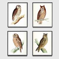 Woodland Owl print set of 4, Antique Owl art print, Vintage bird art, vintage camp and cabin decor, 