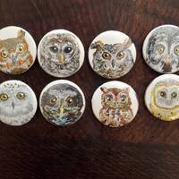 Owl Button