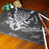 Owl White Colored Pencil Art Drawing, 9x12", Inspirational Nature Illustration