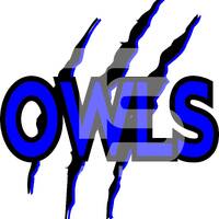Owls 20 SVG PNG Sublimation Graphic Pick your Team Colors