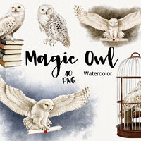 Watercolor Owl Clipart, Magic School, Wizard Clip Art, Hedwig owl, Halloween Clipart, bird clip art,
