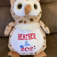 Graduation owl