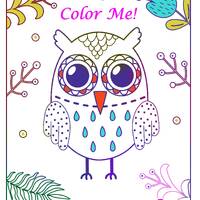 ColorMe! Cute Owls