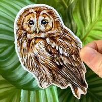 Tawny Owl Glossy Vinyl Sticker 11cm