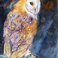 Barn Owl Original Watercolour Painting Wall Art Wildlife Art