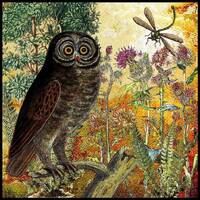 85. Owl, Thistle & Dragonfly Fabric Swatch: Organic Cotton Sateen, Quilting Sewing (8x8 inch)