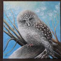 Owl in a Daytime Forest. Oil painting. Original