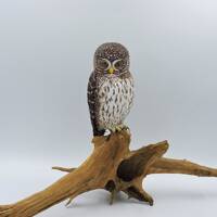 Hand-Painted Wooden Pygmy Owl Sculpture; Carved Owl On The Root; Glaucidium Passerinum.