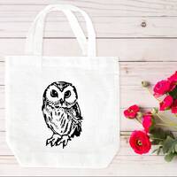 Owl tote bag, tote bag, owl canvas tote, canvas tote bag, handmade owl tote bag, gift for owl lover