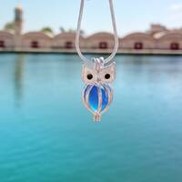 Barn owl necklace with blue Seaglass, Pet lover jewelry, Silver Owl pendant, Ocean glass necklace, S