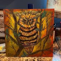 Handmade Wood Burning Owl Painted Burned on Wood  12x12” Sealed.