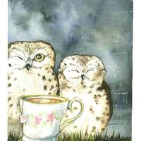 Two and Tea - Owl  print 8x10