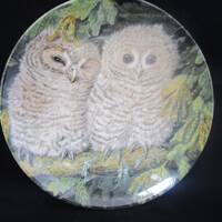 Wedgwood decorative plate 'The Baby Owls'Tawny owl chicks.