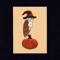 Witchy Barn Owl Art Print - Artist Signed - 5x7 or 8x10