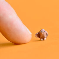 World's Tiniest Owl Figurine |  | Miniature Hand-painted Porcelain | Incredibly Small Creatures 
