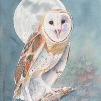 Owl Moon - Original watercolor by LeAnne Sowa, Barn Owl, Owls, Moon, Moon Painting, Owl painting, Bl