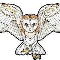 Jigsaw Wooden Puzzle Owl, Educational Sensory Toy for Kids and Adults, Holiday Gift