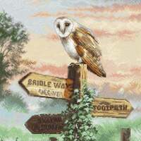 Barn Owl - cross stitch kit by Letistitch 8031