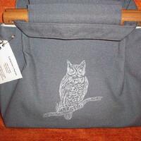 Owl in Pine Tree on Grey