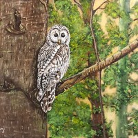 Original Artwork, The Ural Owl, 11 x 14