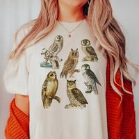 Owl Chart Ivory Comfort Colors Tee, Vintage Owl Chart Nature Lover Halloween Trendy Graphic T-Shirt