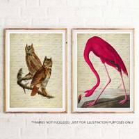 Vintage Victorian Style Owls Flamingo Art Prints Beige Pink Brown Golden Vintage Script Traditional 