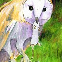 Owls, Wildlife art, Print of Original Drawing, Bird Art, Title- Barn Owl with Mouse