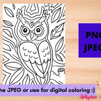 Procreate Coloring Pages, Owl Coloring Page, Adult Coloring, Coloring Pages, Digital Coloring, Print