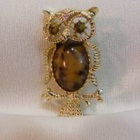 Faux Tortoise Shell Owl Convertible Pin and Pendant