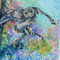 Short Eared Owl Original Watercolor Painting Owl Wall Art Asio flammeus Owl on Tree Colorful Owl Wat