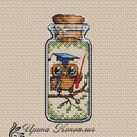 Owl Teacher in Bottle Cross Stitch Pattern, Easy Mini Chart (PDF Pattern)