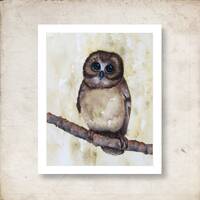 Owl Watercolor Print, 11x14, 8x10, 5x7, 4x6 Bird Themed Decor, Owl Collector