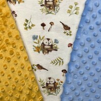 Customized, Personalized Children's/Pet Blanket - Cute Owl