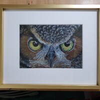 Owl Eyes