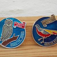 Set of 2 bird pins, Long-eared owl pin, Golden pheasant pin, Childrens pin, Backpack pin