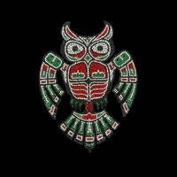 Owl iron on heat transfer Bling shirt applique, custom Clothing patches , heat transfer iron on Blin